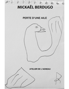 PERTE D'UNE AILE MICKAËL BERDUGO - numérique