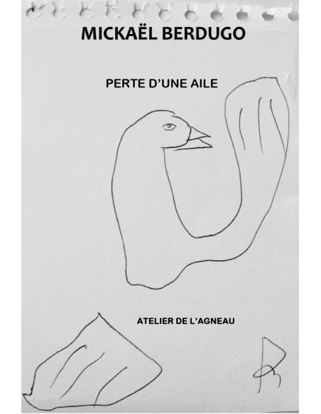 PERTE D'UNE AILE MICKAËL BERDUGO - numérique