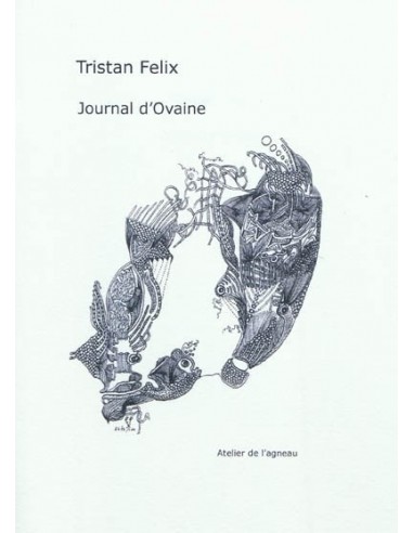 copy of Journal d'Ovaine